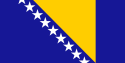 Bosnian International domain names