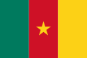 Cameroon International domain names