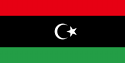 Libya International domain names