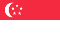Singapore International domain names