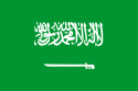 السعودية International Domain Name Registration