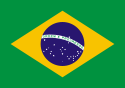 Brazil International domain names