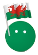 llyw.cymru International Domain Name Registration