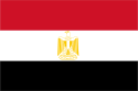 مصر International Domain Name Renewal